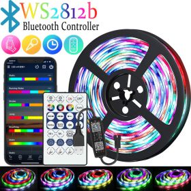 RGB Color-changing 5V Magic USB Light Strip (Option: WS2812b BHT IR-1M)